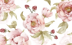 Tapeta Kwiaty Peonie Biel