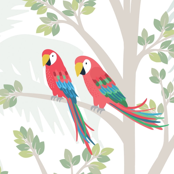 Plakat-Ptaki-Świat ptaków-Papugi-Kolorowe ptaki-Plakat dla dzieci.jpg